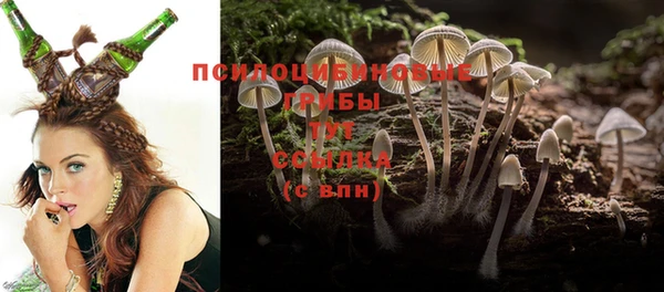 бошки Богородск