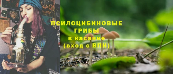 бошки Богородск