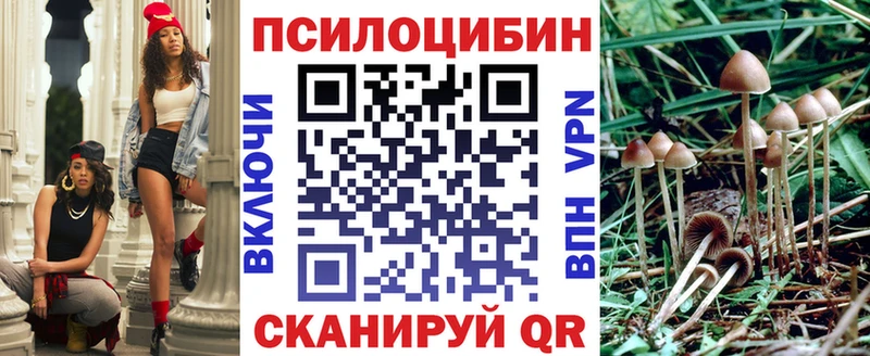Галлюциногенные грибы GOLDEN TEACHER  как найти   сайты даркнета какой сайт  Октябрьский 